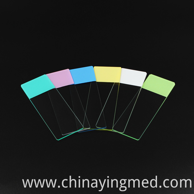 Color Microscope Slide